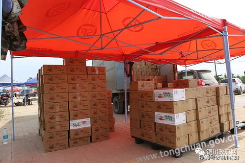 銅川甜美生活，‘櫻’你而來 高效貨物配送打造便捷品質(zhì)生活